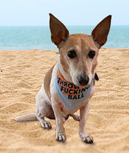 Load image into Gallery viewer, Throw The Fucking Ball Graphic T-Shirt Dog Bandana