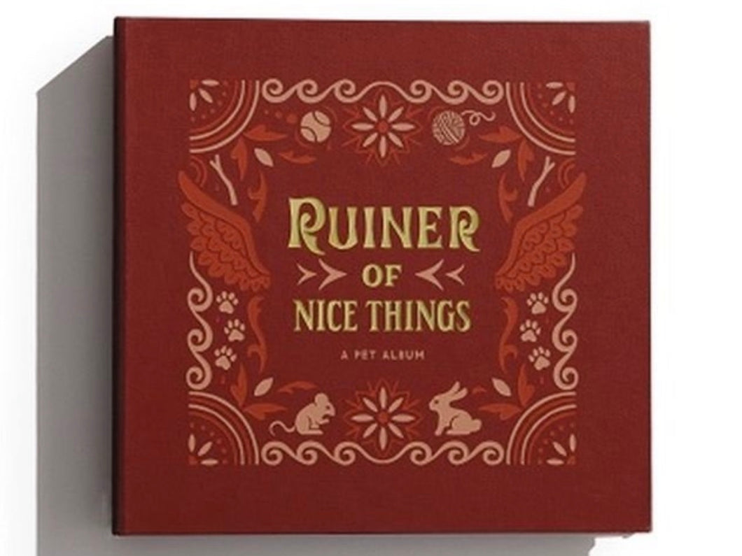 Ruiner of Nice Things photo album