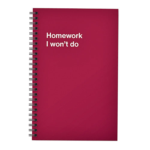 Homework I won't do Notebook