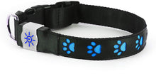 Load image into Gallery viewer, Night Scout USB Rechargeable LED Dog Pet Collar
